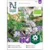 Blå Honningurt Øko Phacelia Tanacetifolia Frøpose, Antal Pr. Pakke, Ca. 40 Stk. 2 Blå Honningurt Øko Phacelia Tanacetifolia Frøpose, Antal Pr. Pakke, Ca. 40 Stk. -Osmo Salgsbutik p20213 37194 phacelia tanacetifolia 331e