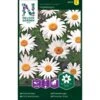 Okseøje 'Maikönigin' Leucanthemum Vulgare 'Maikönigin' Pose Med Frø Eller Løg, 20