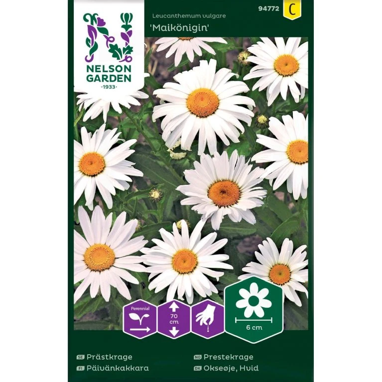 Okseøje 'Maikönigin' Leucanthemum Vulgare 'Maikönigin' Pose Med Frø Eller Løg, 20 3 Okseøje 'Maikönigin' Leucanthemum Vulgare 'Maikönigin' Pose Med Frø Eller Løg, 20