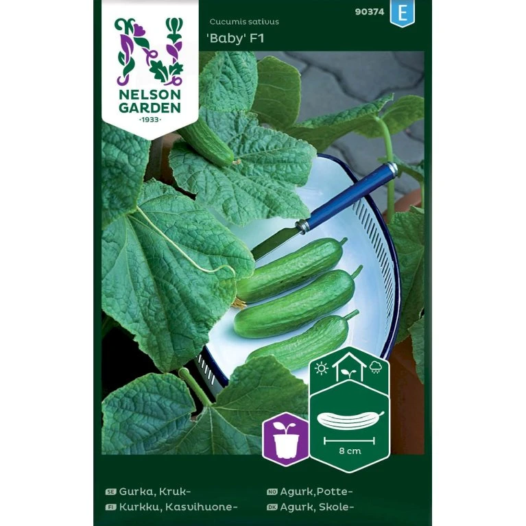 Skoleagurk 'Baby' F1 Cucumis Sativus 'Baby' F1