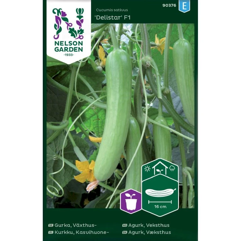 Drivhusagurk 'Delistar' F1 Cucumis Sativus 'Delistar' F1 3 Drivhusagurk 'Delistar' F1 Cucumis Sativus 'Delistar' F1