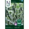 Miniagurk 'Hopeline' F1 Cucumis Sativus 'Hopeline' F1 1 Miniagurk 'Hopeline' F1 Cucumis Sativus 'Hopeline' F1 -Osmo Salgsbutik p33645 37003 cucumis sativus hopeline f1 e90e