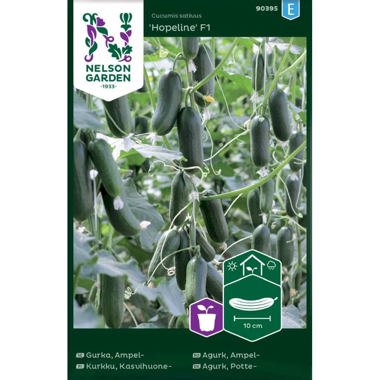 Miniagurk 'Hopeline' F1 Cucumis Sativus 'Hopeline' F1 3 Miniagurk 'Hopeline' F1 Cucumis Sativus 'Hopeline' F1