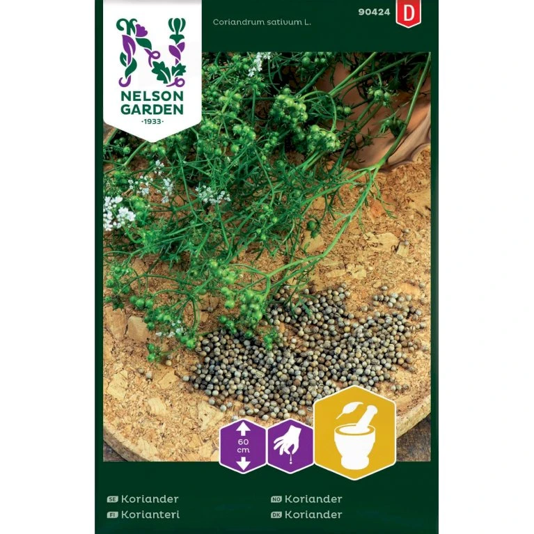 Koriander Coriandrum Sativum L. 3 Koriander Coriandrum Sativum L.
