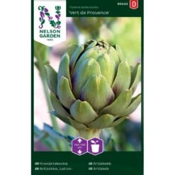 Artiskok 'Vert De Provence' Cynara Cardunculus 'Vert De Provence'