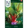 Bladbede 'Rhubarb Chard' Beta Vulgaris 'Rhubarb Chard' 1 Bladbede 'Rhubarb Chard' Beta Vulgaris 'Rhubarb Chard' -Osmo Salgsbutik p33686 37119 beta vulgaris rhubarb chard 7504
