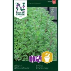 Osmo Merian Origanum Majorana L.
