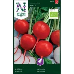 Radise 'Saxa 2' Øko Raphanus Sativus 'Saxa 2'