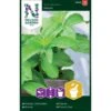 Sød Stevia Stevia Rebaudiana Stevia 2 Sød Stevia Stevia Rebaudiana Stevia -Osmo Salgsbutik p33804 37092 stevia rebaudiana stevia d473