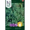 Timian Thymus Vulgaris L. -Osmo Salgsbutik p33807 37095 thymus vulgaris l 93b2