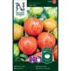 Tomat 'Tigerella' Solanum Lycopersicum 'Tigerella' 2 Tomat 'Tigerella' Solanum Lycopersicum 'Tigerella' -Osmo Salgsbutik p33817 37034 solanum lycopersicum tigerella 9e34