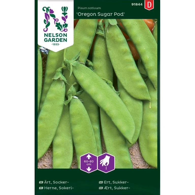 Sukkerært 'Oregon Sugar Pod' Pisum Sativum 'Oregon Sugar Pod' 3 Sukkerært 'Oregon Sugar Pod' Pisum Sativum 'Oregon Sugar Pod'