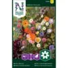 Honningblomster Mix Nelson Mixture 2 Honningblomster Mix Nelson Mixture -Osmo Salgsbutik p33851 37207 nelson mixture 45e8
