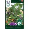 Slyngplanter Mix Nelson Mixture 1 Slyngplanter Mix Nelson Mixture -Osmo Salgsbutik p33852 37208 nelson mixture 6de8