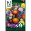 Evighedsblomster Mix Nelson Mixture 1 Evighedsblomster Mix Nelson Mixture -Osmo Salgsbutik p33854 37210 nelson mixture 30f6