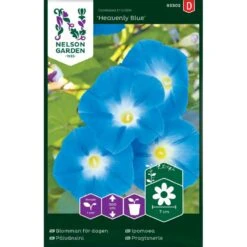 Pragtsnerle 'Heavenly Blue' Ipomoea Tricolor 'Heavenly Blue'