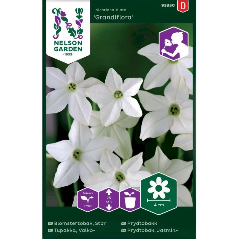 Høj Jasminprydtobak 'Grandiflora' Nicotiana Alata 'Grandiflora' 3 Høj Jasminprydtobak 'Grandiflora' Nicotiana Alata 'Grandiflora'