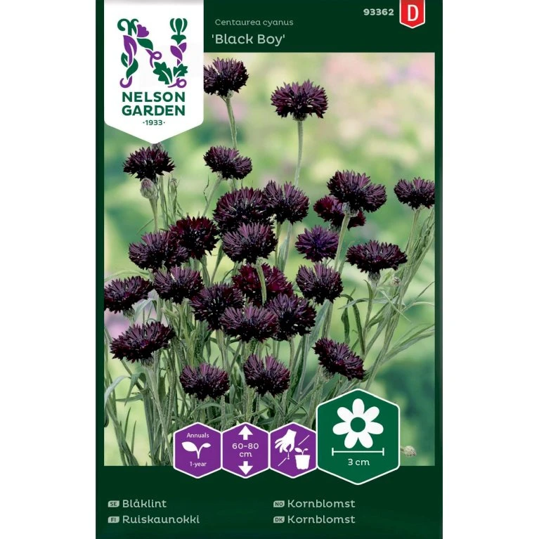 Kornblomst 'Black Boy' Centaurea Cyanus 'Black Boy' 3 Kornblomst 'Black Boy' Centaurea Cyanus 'Black Boy'