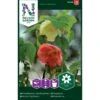 Klokketræ Mix Abutilon X Hybridum 1 Klokketræ Mix Abutilon X Hybridum -Osmo Salgsbutik p33892 37242 abutilon x hybridum 39aa