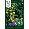 Sommerfugleblomsterkarse Tropaeolum Peregrinum L. 2 Sommerfugleblomsterkarse Tropaeolum Peregrinum L. -Osmo Salgsbutik p33894 37244 tropaeolum peregrinum l 16cd