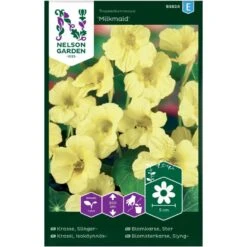 Slyngblomsterkarse 'Milkmaid' Tropaeolum Majus 'Milkmaid'
