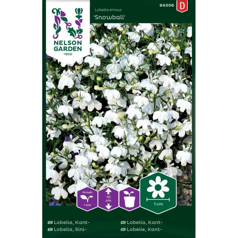 Kantlobelie 'Snowball' Lobelia Erinus 'Snowball' 3 Kantlobelie 'Snowball' Lobelia Erinus 'Snowball'