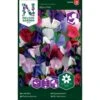 Lav Ærteblomst 'Bijou' Mix Lathyrus Odoratus L. 'Bijou' Mix 2 Lav Ærteblomst 'Bijou' Mix Lathyrus Odoratus L. 'Bijou' Mix -Osmo Salgsbutik p33918 37264 lathyrus odoratus l bijou mix d54e