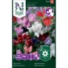 Ærteblomst 'Royal Mix' Big Pack Lathyrus Odoratus L. 'Royal' Mix 2 Ærteblomst 'Royal Mix' Big Pack Lathyrus Odoratus L. 'Royal' Mix -Osmo Salgsbutik p33927 37273 lathyrus odoratus l royal mix 67f2