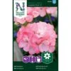 Pelargonie 'Inspire Pink' F1 Pelargonium X Hortorum 'Inspire Pink' F1 1 Pelargonie 'Inspire Pink' F1 Pelargonium X Hortorum 'Inspire Pink' F1 -Osmo Salgsbutik p33940 37284 pelargonium x hortorum inspire pink f1 ff64