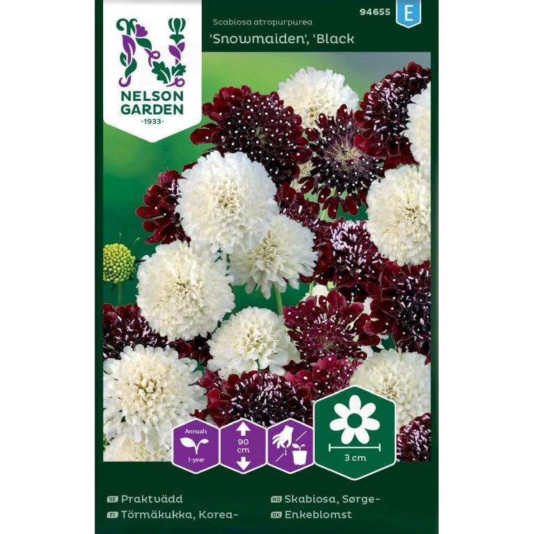 Enkeblomst 'Snowmaiden' X 'Black Knight' Scabiosa Atropurpurea 'Snowmaiden', 'Black Knight' 3 Enkeblomst 'Snowmaiden' X 'Black Knight' Scabiosa Atropurpurea 'Snowmaiden', 'Black Knight'