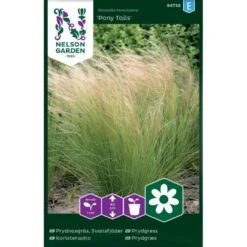 Prydgræs 'Pony Tails' Nassella Tenuissima 'Pony Tails'