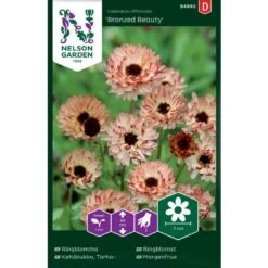 Morgenfrue 'Bronzed Beauty' Calendula Officinalis 'Bronzed Beauty'