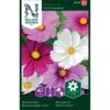 Stolt Kavaler 'Early Summer' Mix Cosmos Bipinnatus 'Early Summer'