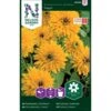 Håret Solhat 'Maya' Rudbeckia Hirta Var. Pulcherrima 'Maya' 2 Håret Solhat 'Maya' Rudbeckia Hirta Var. Pulcherrima 'Maya' -Osmo Salgsbutik p33994 37330 rudbeckia hirta var pulcherrima maya 89a7