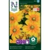 Håret Solhat 'Praire Sun' Rudbeckia Hirta Var. Pulcherrima 'Prairie Sun' 1 Håret Solhat 'Praire Sun' Rudbeckia Hirta Var. Pulcherrima 'Prairie Sun' -Osmo Salgsbutik p33995 37331 rudbeckia hirta var pulcherrima prairie sun bfb2