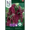 Rød Rævehaleamarant Amaranthus Caudatus L. 1 Rød Rævehaleamarant Amaranthus Caudatus L. -Osmo Salgsbutik p33997 37333 amaranthus caudatus l d7a7