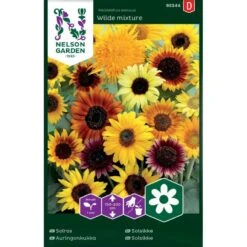 Høj Solsikke 'Wilde Mixture' Helianthus Annuus 'Wilde Mixture'