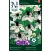 Jomfru I Det Grønne 'African Bride' Nigella Hispanica 'African Bride' 1 Jomfru I Det Grønne 'African Bride' Nigella Hispanica 'African Bride' -Osmo Salgsbutik p34018 37349 nigella hispanica african bride b727