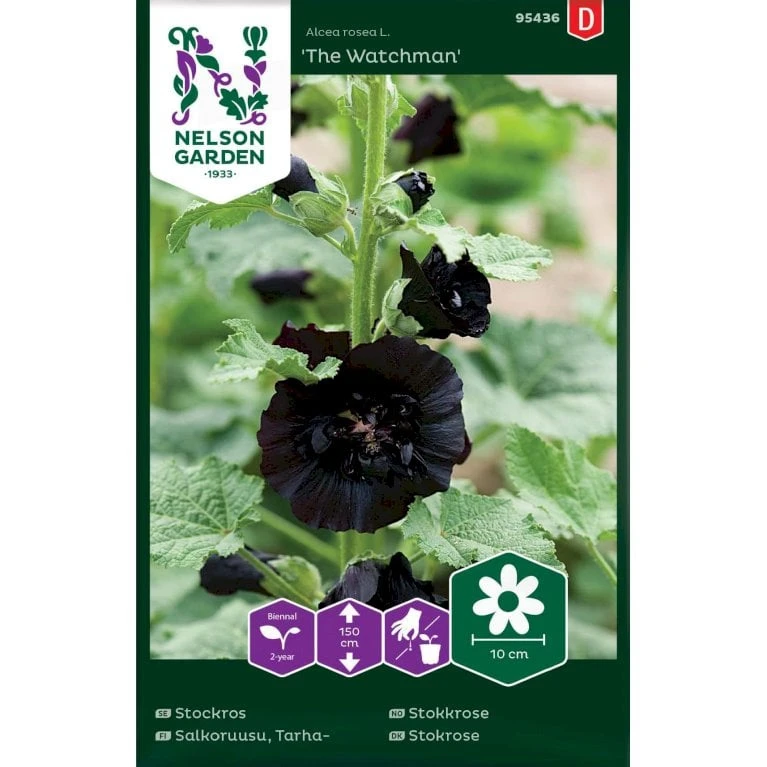 Stokrose 'The Watchman' Alcea Rosea L. 'The Watchman' 3 Stokrose 'The Watchman' Alcea Rosea L. 'The Watchman'