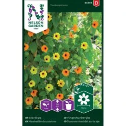 Susanne Med Det Sorte øje Mix Thunbergia Alata