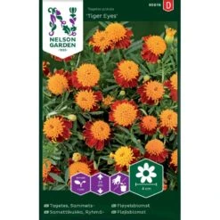 Fløjlsblomst 'Tiger Eyes' Tagetes Patula 'Tiger Eyes'