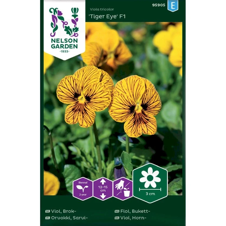 Hornviol 'Tiger Eye' F1 Viola Tricolor 'Tiger Eye' F1 3 Hornviol 'Tiger Eye' F1 Viola Tricolor 'Tiger Eye' F1