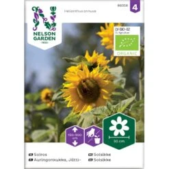 Høj Kæmpe Solsikke Øko Helianthus Annuus Frøpose, Antal Pr. Pakke, Ca. 25 Stk.