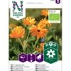Morgenfrue Øko Calendula Officinalis Frøpose, Antal Pr. Pakke, Ca. 15 Stk. -Osmo Salgsbutik p34124 54709 calendula officinalis c203