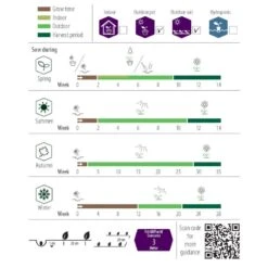 Morgenfrue Øko Calendula Officinalis Frøpose, Antal Pr. Pakke, Ca. 15 Stk. 6 Morgenfrue Øko Calendula Officinalis Frøpose, Antal Pr. Pakke, Ca. 15 Stk. -Osmo Salgsbutik p34124 54710 calendula officinalis 804d