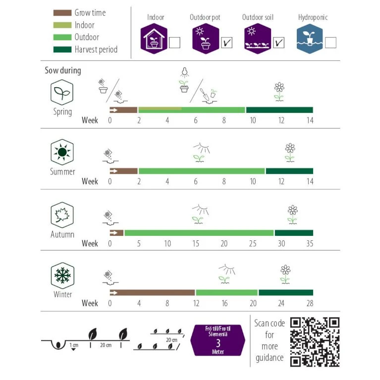 Morgenfrue Øko Calendula Officinalis Frøpose, Antal Pr. Pakke, Ca. 15 Stk. 4 Morgenfrue Øko Calendula Officinalis Frøpose, Antal Pr. Pakke, Ca. 15 Stk. - Billede 2