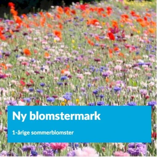 Ny Blomstermark Blanding Ny Blomstermark 1 Kg. Pose -Osmo Salgsbutik p34376 23497 ny blomstermark 3c92