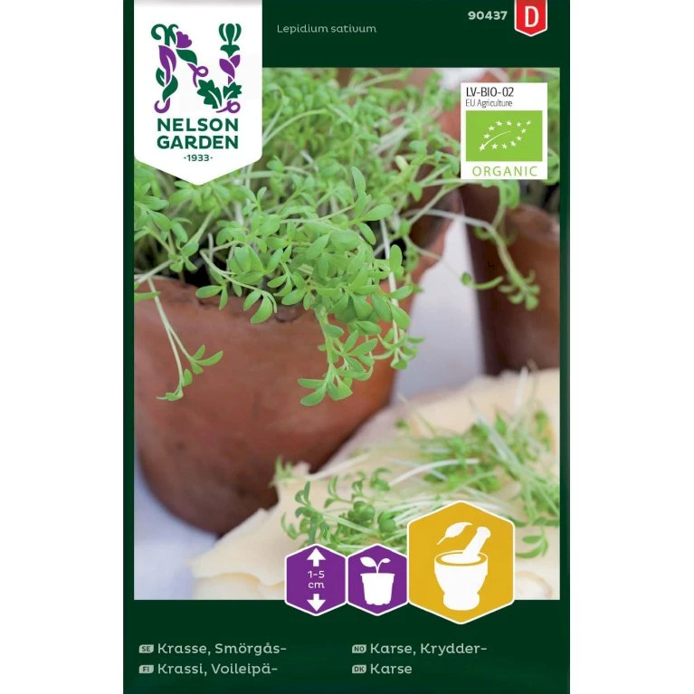 Karse Øko Lepidium Sativum 3 Karse Øko Lepidium Sativum