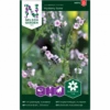 Kinesisk Hundetunge 'Mystery Rose' Cynoglossum Amabile 'Mystery Rose' 1 Kinesisk Hundetunge 'Mystery Rose' Cynoglossum Amabile 'Mystery Rose' -Osmo Salgsbutik p34781 34762 cynoglossum amabile mystery rose 6d1f