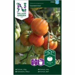 Bøftomat 'Canestrino' Solanum Lycopersicum 'Canestrino'